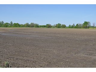 Tract 3 - LAND AUCTION, 119.65+/- Acres offered in 3 Tracts